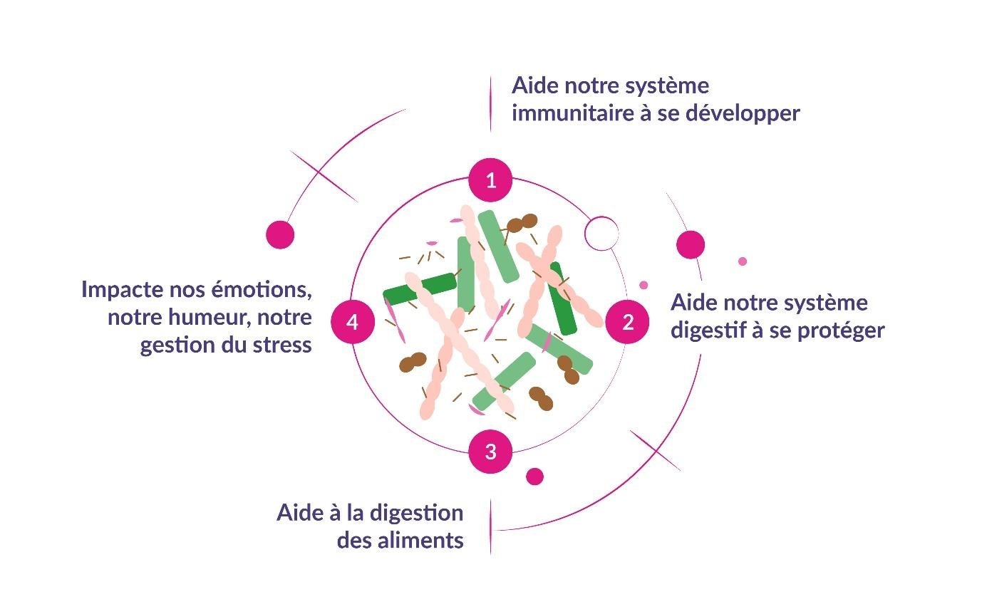 Quel est le rôle du microbiote intestinal dans notre organisme ?