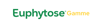 Logo-desktop-footer