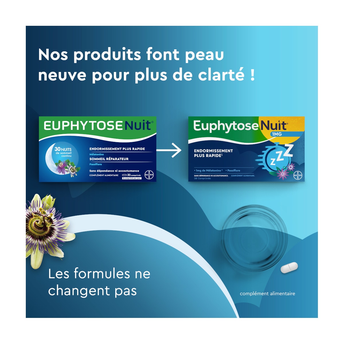 EuphytoseNuit