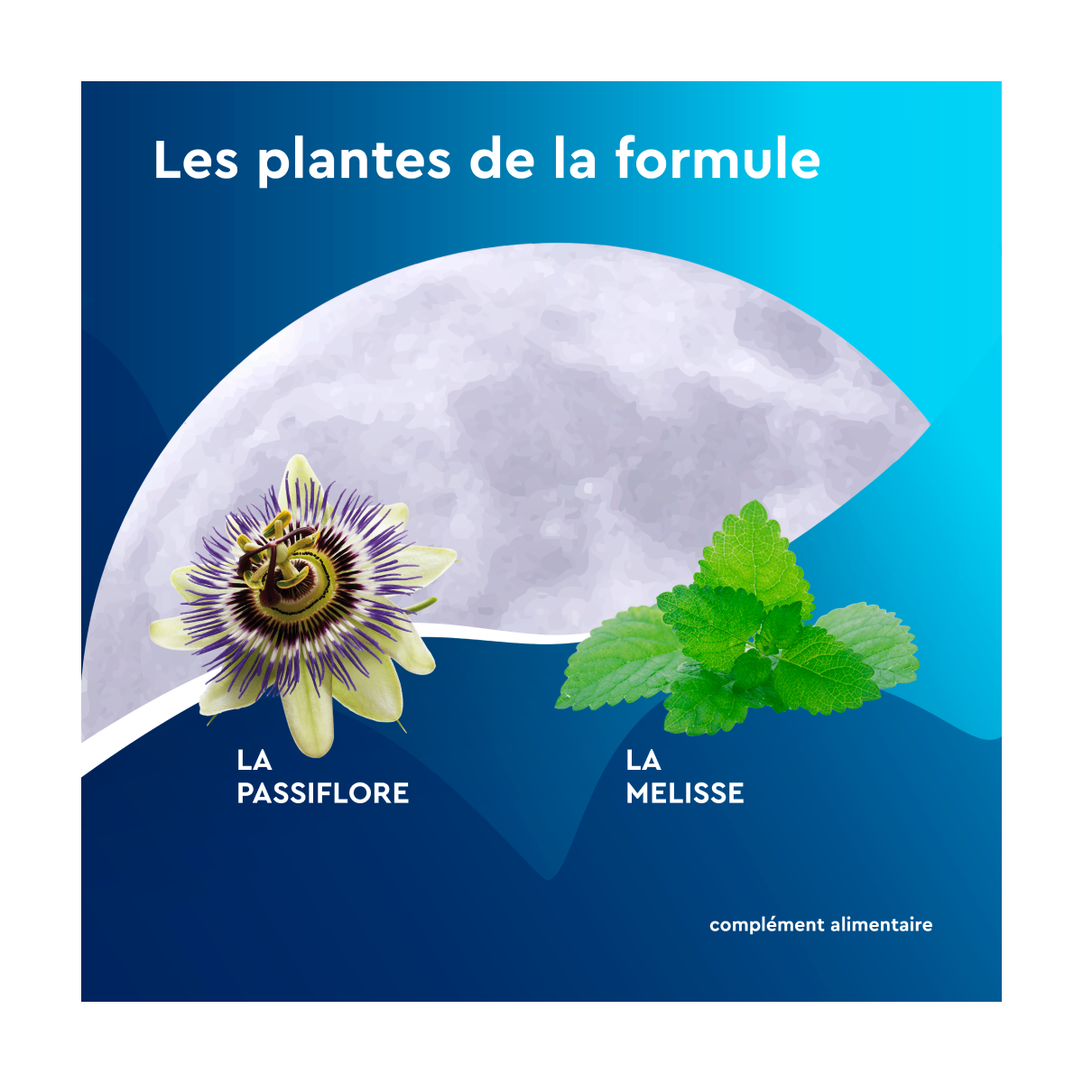 EuphytoseNuit® Gomme Pomme