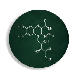 La Vitamine B2 