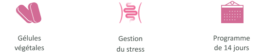 Icons_EuphytoseStress® Digestion