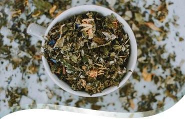 Tisane à base de plantes