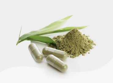 Les médicaments de phytothérapie