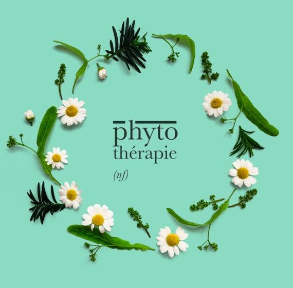 Qu’est-ce que la phytothérapie ?
